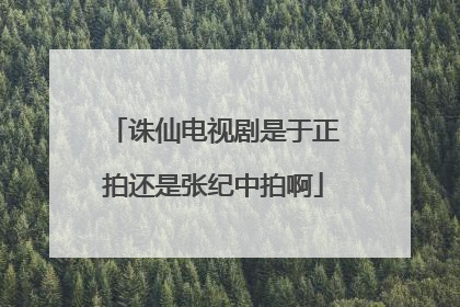 诛仙电视剧是于正拍还是张纪中拍啊