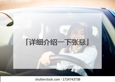 详细介绍一下张悬