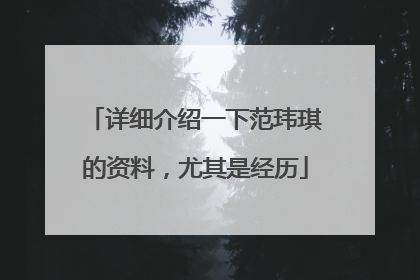 详细介绍一下范玮琪的资料，尤其是经历