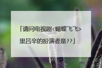 请问电视剧<蝴蝶飞飞>里吕辛的扮演者是??