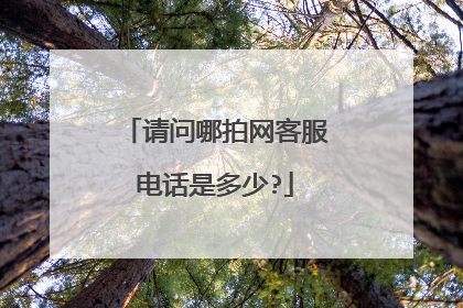 请问哪拍网客服电话是多少?