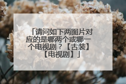 请问如下两图片对应的是哪两个或哪一个电视剧?【古装】【电视剧】