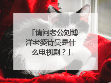 请问老公刘博洋老婆诗曼是什么电视剧？