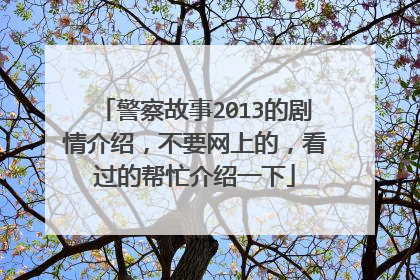 警察故事2013的剧情介绍，不要网上的，看过的帮忙介绍一下