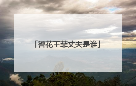 警花王菲丈夫是谁