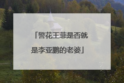 警花王菲是否就是李亚鹏的老婆