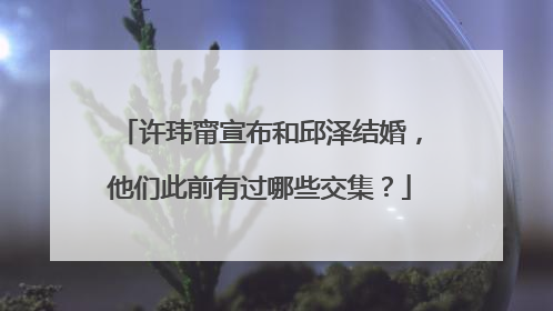 许玮甯宣布和邱泽结婚，他们此前有过哪些交集？