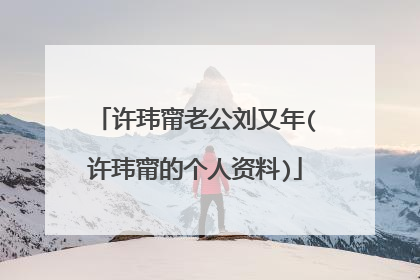 许玮甯老公刘又年(许玮甯的个人资料)