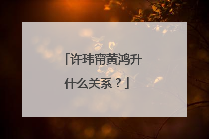 许玮甯黄鸿升什么关系?