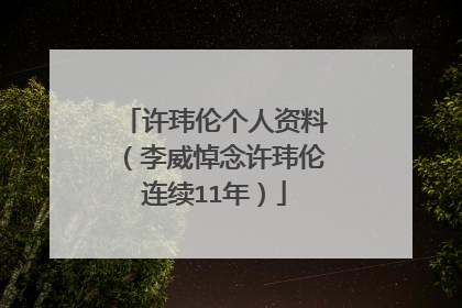 许玮伦个人资料(李威悼念许玮伦连续11年)