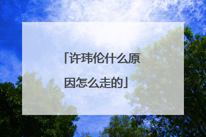 许玮伦什么原因怎么走的