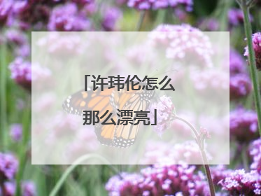 许玮伦怎么那么漂亮