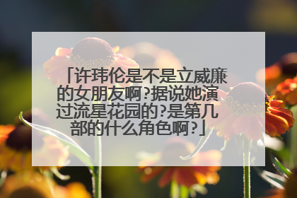 许玮伦是不是立威廉的女朋友啊?据说她演过流星花园的?是第几部的什么角色啊?