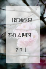 许玮伦是怎样去世的？？