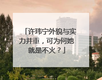 许玮宁外貌与实力并重,可为何她就是不火?