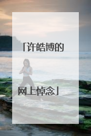 许皓博的网上悼念