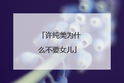 许纯美为什么不要女儿