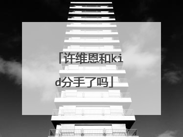 许维恩和kid分手了吗