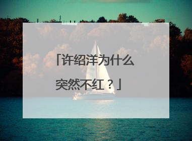 许绍洋为什么突然不红？