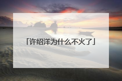 许绍洋为什么不火了