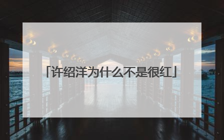 许绍洋为什么不是很红
