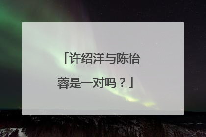 许绍洋与陈怡蓉是一对吗?