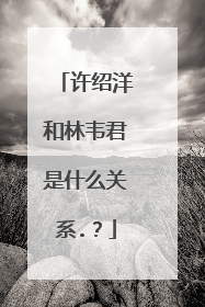 许绍洋和林韦君是什么关系.？