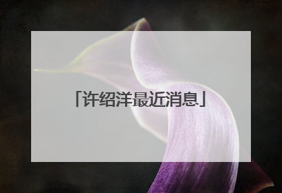 许绍洋最近消息