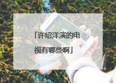 许绍洋演的电视有哪些啊