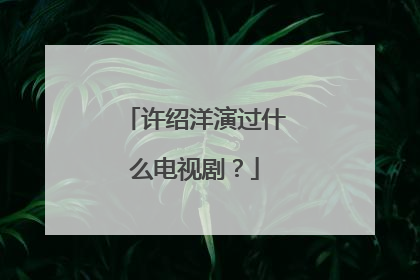 许绍洋演过什么电视剧？