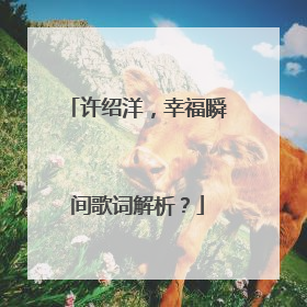 许绍洋,幸福瞬间歌词解析?
