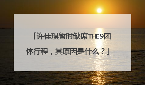 许佳琪暂时缺席THE9团体行程,其原因是什么?