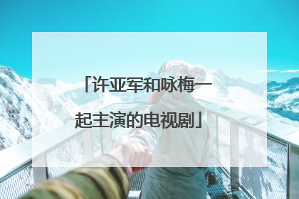许亚军和咏梅一起主演的电视剧