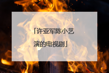 许亚军陈小艺演的电视剧