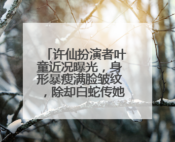 许仙扮演者叶童近况曝光，身形暴瘦满脸皱纹，除却白蛇传她参演过哪些作品？