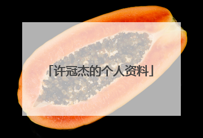 许冠杰的个人资料