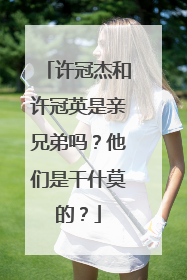 许冠杰和许冠英是亲兄弟吗?他们是干什莫的?