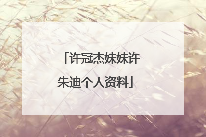 许冠杰妹妹许朱迪个人资料