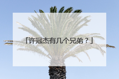 许冠杰有几个兄弟？