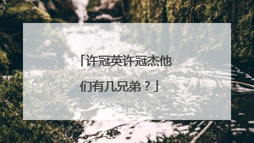 许冠英许冠杰他们有几兄弟？