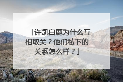 许凯白鹿为什么互相取关?他们私下的关系怎么样?