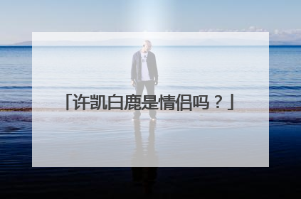 许凯白鹿是情侣吗？