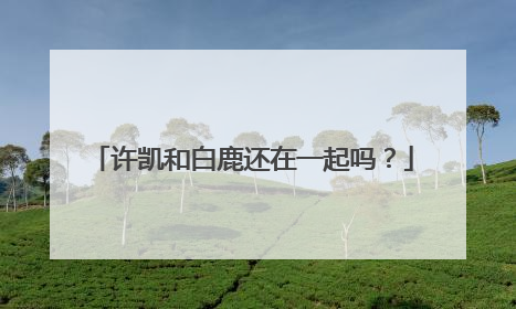 许凯和白鹿还在一起吗?