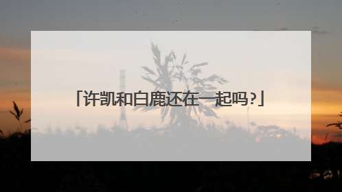 许凯和白鹿还在一起吗?