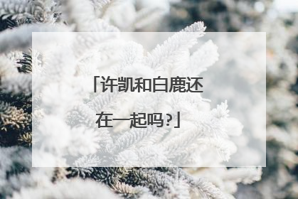 许凯和白鹿还在一起吗?