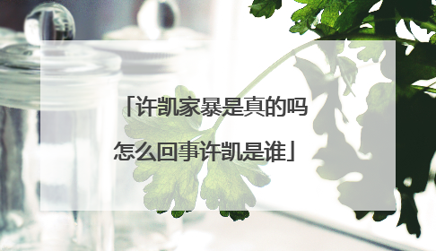 许凯家暴是真的吗怎么回事许凯是谁