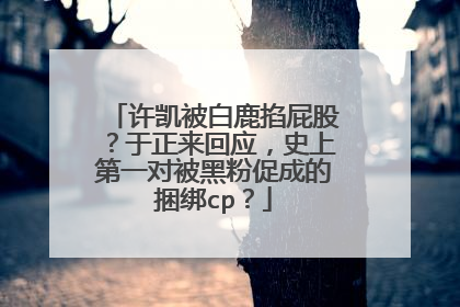许凯被白鹿掐屁股?于正来回应,史上第一对被黑粉促成的捆绑cp?