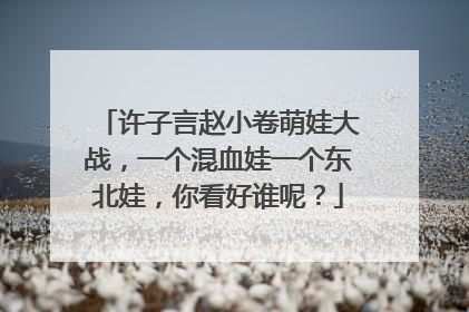 许子言赵小卷萌娃大战，一个混血娃一个东北娃，你看好谁呢？