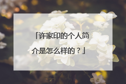 许家印的个人简介是怎么样的?
