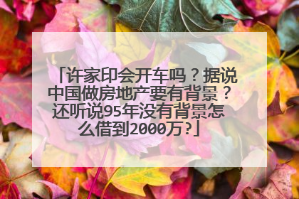 许家印会开车吗？据说中国做房地产要有背景？还听说95年没有背景怎么借到2000万?